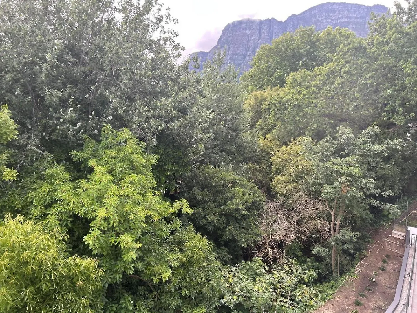 The Streams-404 Hotel Cape Town South Africa